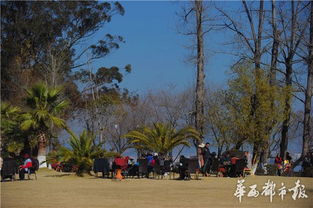 大年初二 川abcd大军挥师南下抵达攀西