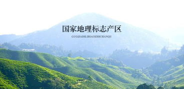 经常熬夜,气血不足,肾虚,软弱乏力,攀枝花黑桑葚干来解救你