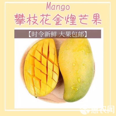 凯特芒 攀西阳光水果