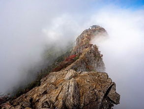 爱媛石鎚山 挑战胆量攀西日本最高峰