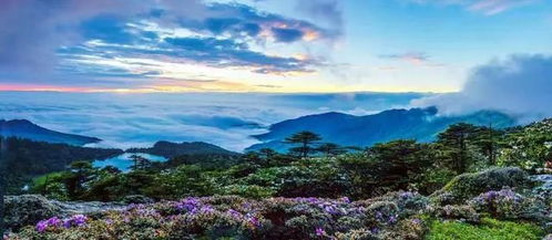 西昌西 昆明 川渝这座大 山 通高铁了 攀西一圈,正式起飞