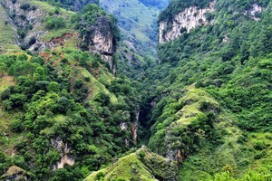四川攀西秘境--百灵山涧择木龙