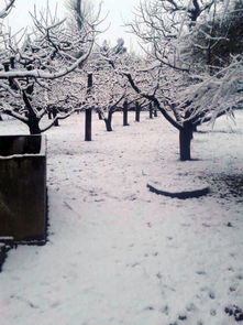 攀西多地迎来降雪 市民感叹攀枝花终于有冬天了