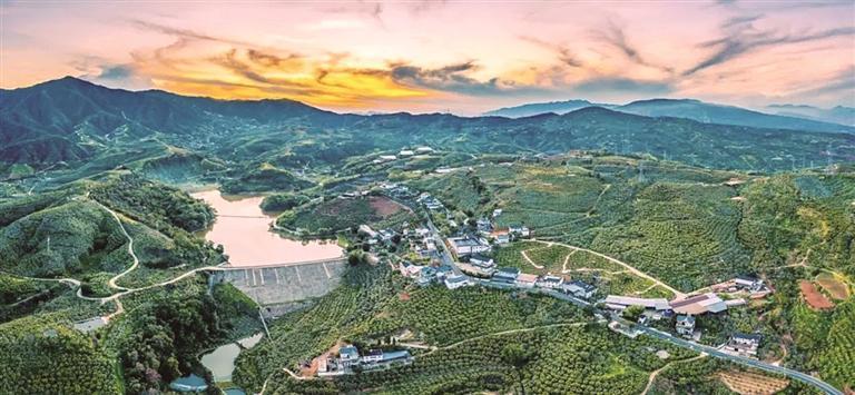 谋高端 求多元 重融合 “攀西芒果第一村”扩充现代农业版图