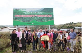 道地药材获青睐 好医生附子享誉中医药界