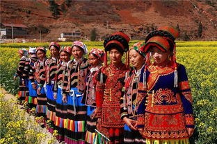 攀西地区最美油菜花海,米易这个地方美得像梦境一样