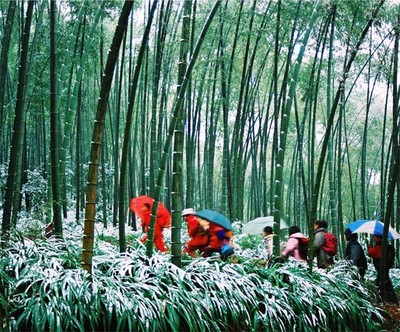“迎冬奥·游四川”冬季旅游启动!2021四川冰雪和温泉旅游节开幕