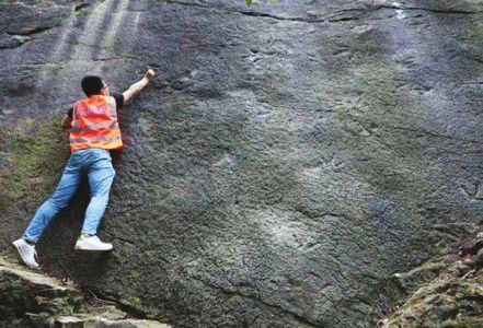 重庆发现正在小跑的恐龙足迹 造迹者 或为中国龙