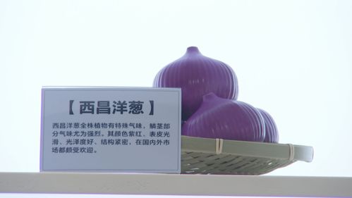 打卡西昌农业版 奥特莱斯 攀西农特产品智慧运营中心成新地标