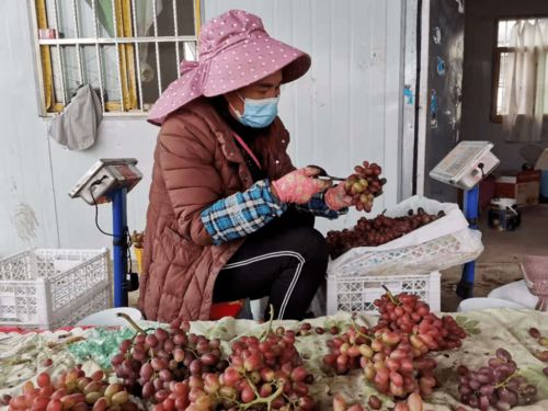 西昌 打造攀西地区首个农特产智慧运营中心